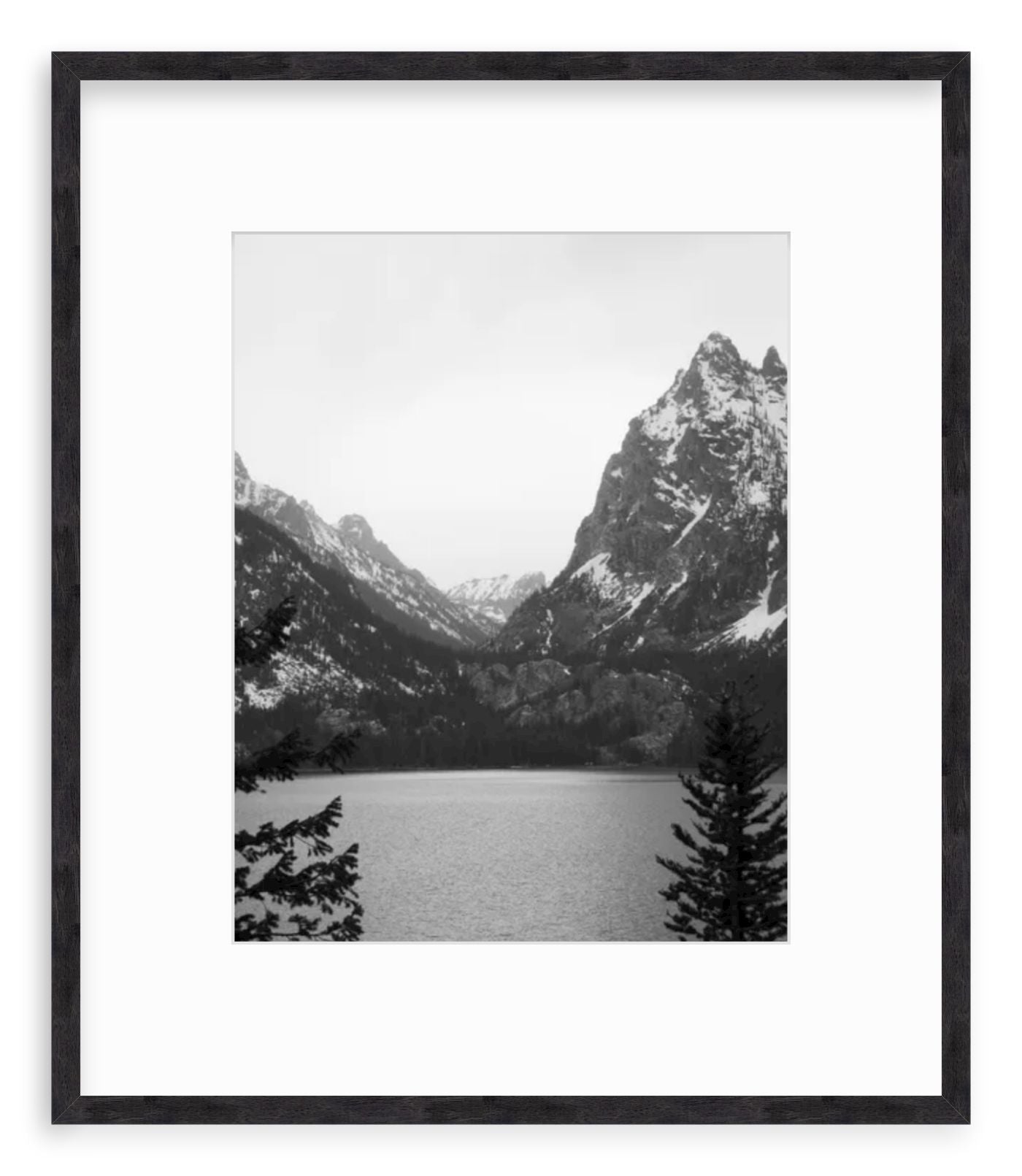 Fine Art Prints