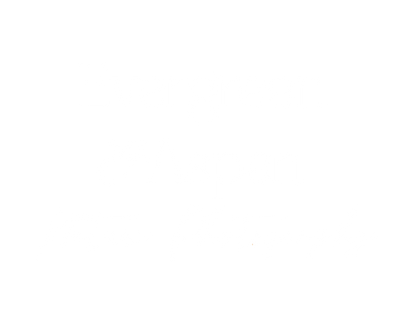 Evergreen and Aspen Nature Photography